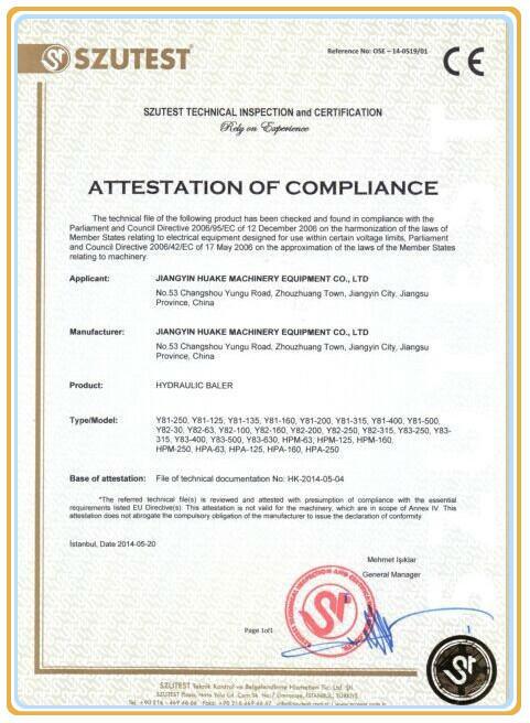 Presse Y83-250 de Briqueting de mitraille de Ce&SGS